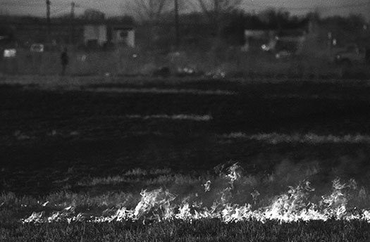 Clearing the Fields, Isleta Pueblo