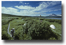 Alder Circle Tent Village, McNeil