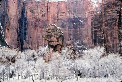 Zion National Park