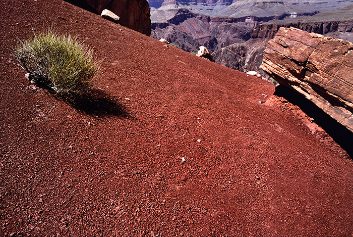 Grand Canyon, Arizona