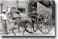 Horse and Cart