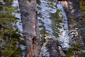 Spring Snowfall, Zion National Park
