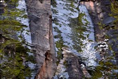 Spring Snowfall, Zion National Park